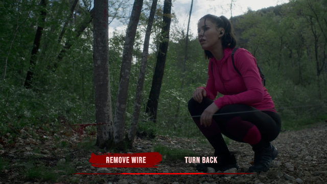 Screenshots TR Decision1