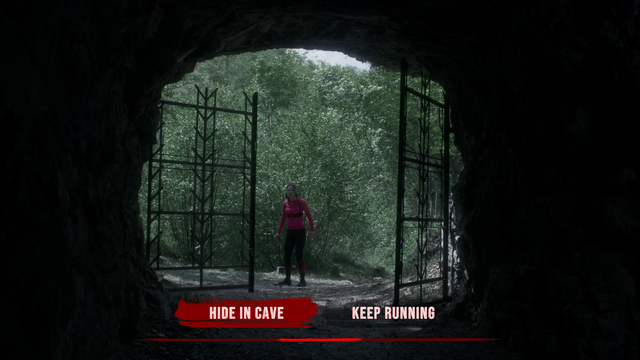 Screenshots TR Decision2