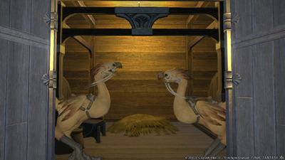 ffxivpatch2_1424345387.51_screenshot_chocoboracing_19.01.2015_06.png
