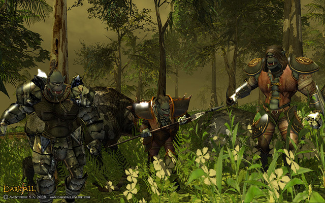 Images de Darkfall: New Dawn