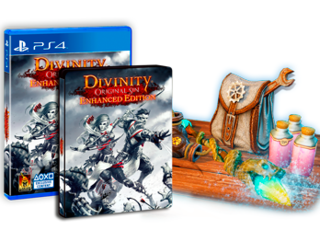 Divinity: Original Sin Enhanced Edition - PS4