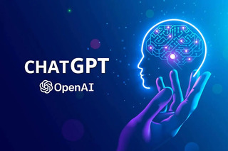 ChatGPT (OpenIA)