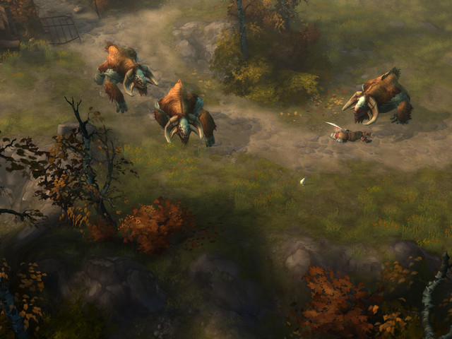 Images de Diablo III