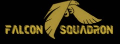 Interview de guilde #10 "Falcon Squadron"