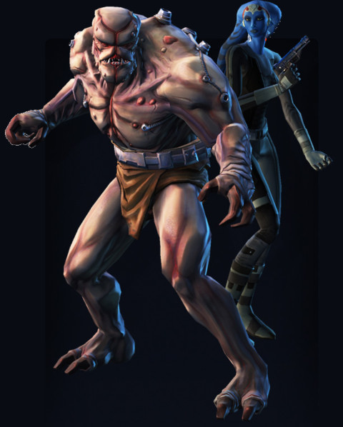 Star Wars The Old Republic - Les compagnons
