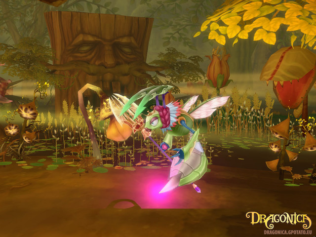 Images de DragonSaga