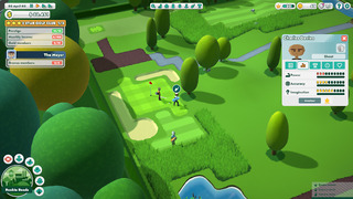 UP_golferstat.jpg