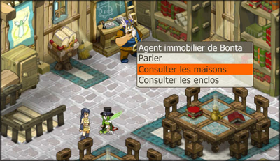 DOFUS - Dev'Blog : l'immobilier fait son arrivée