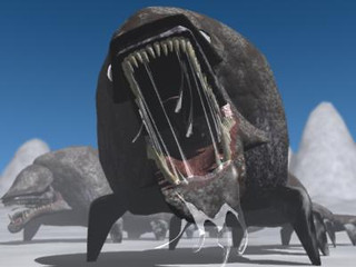 Decipedes (10 pattes)