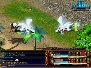 Affrontement de tigres