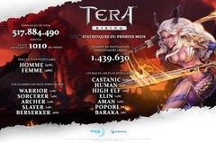 Premier bilan de la version free-to-play de Tera : 500 000 nouveaux inscrits