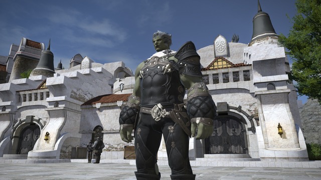 Roegadyn2