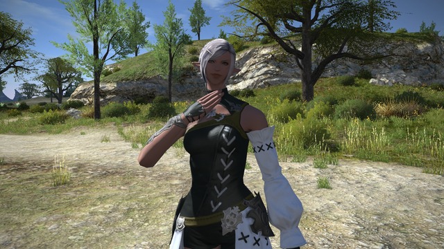 Elezen8