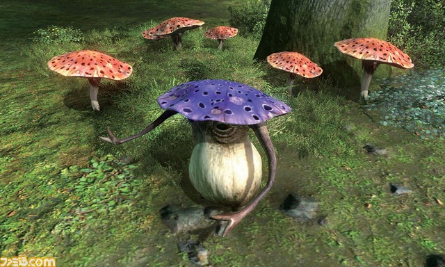 Funguar