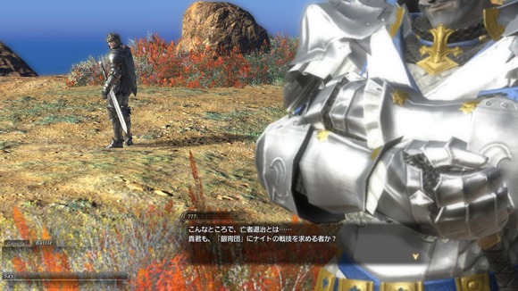 Images de Final Fantasy XIV Online