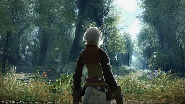 Images de Final Fantasy XIV Online