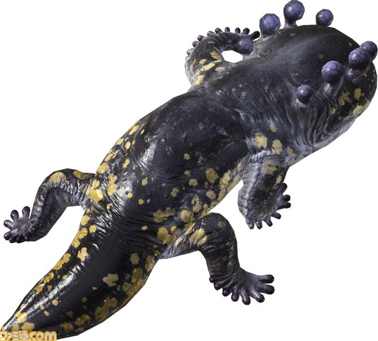 Salamander