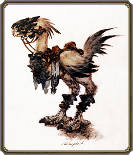 Chocobo cadeau