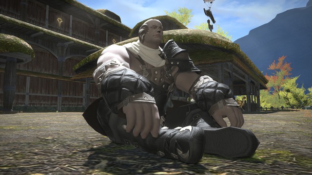 Roegadyn12