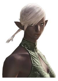 Elezen : Forester