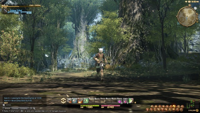 Images de Final Fantasy XIV Online