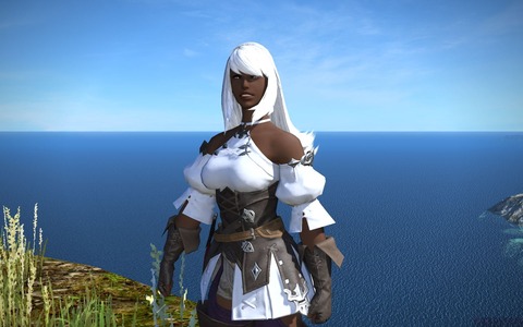 Final Fantasy XIV Online - Interview Communautaire #2
