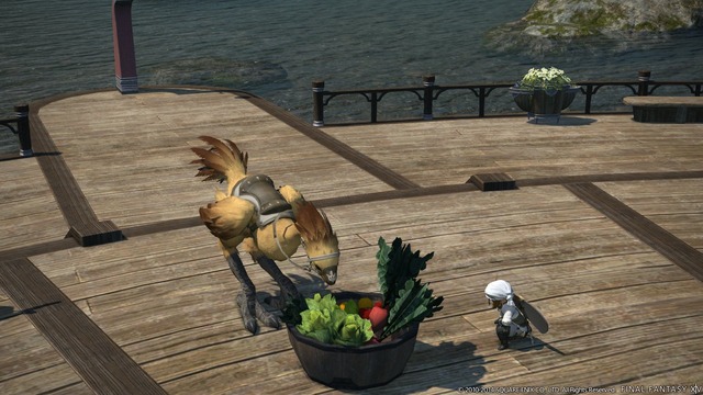 Housing & Chocobo 2.3 - Cho 02