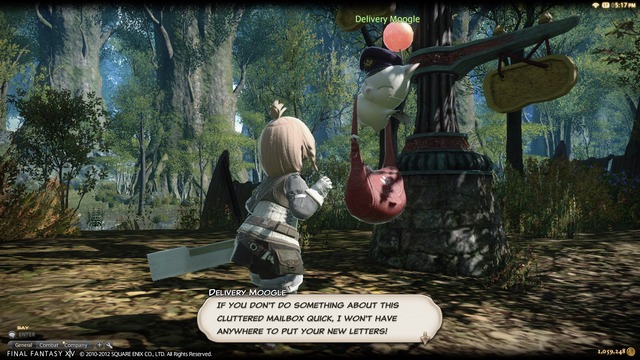 Images de Final Fantasy XIV Online