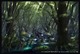 Images de Final Fantasy XIV Online