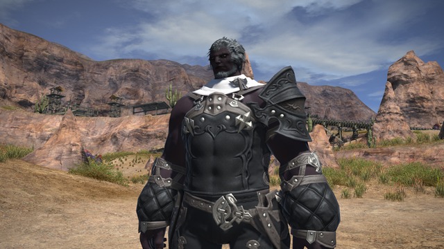 Roegadyn9