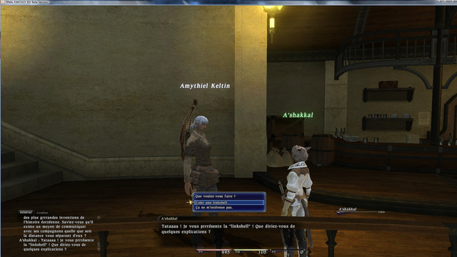 Images de Final Fantasy XIV Online