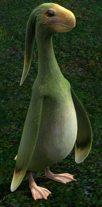 Apkallu