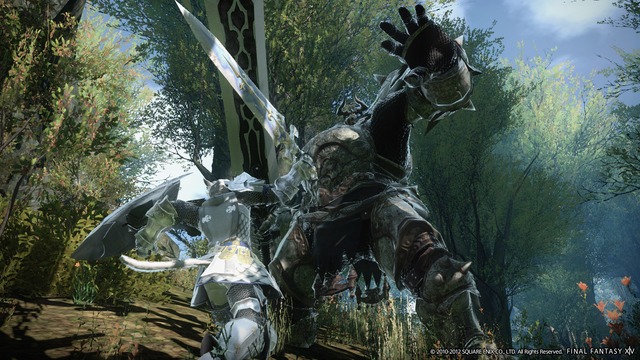 Images de Final Fantasy XIV Online