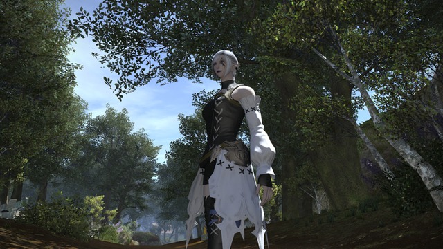 Elezen13